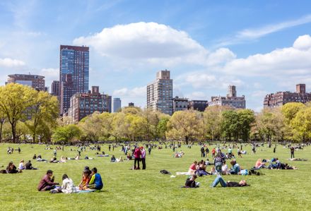 29 Fun Things to Do in Central Park