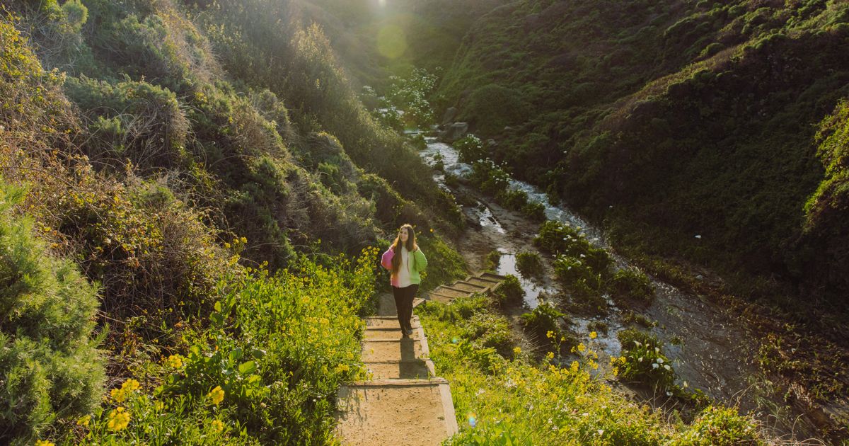 Fun Things To Do In Big Sur - The Getaway