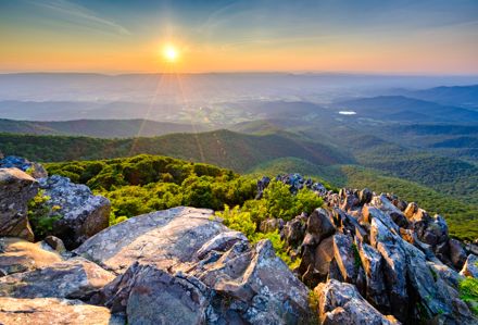 Discover the Highlights of Shenandoah National Park