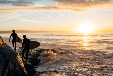 The Top Things To Do in Santa Cruz