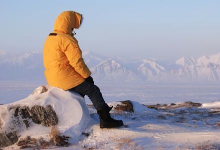 Crazy Interesting Facts About the Arctic Circle