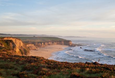 Explore the Natural Wonders of Half Moon Bay