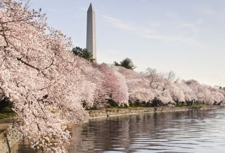 The Best Places to Be in America in March