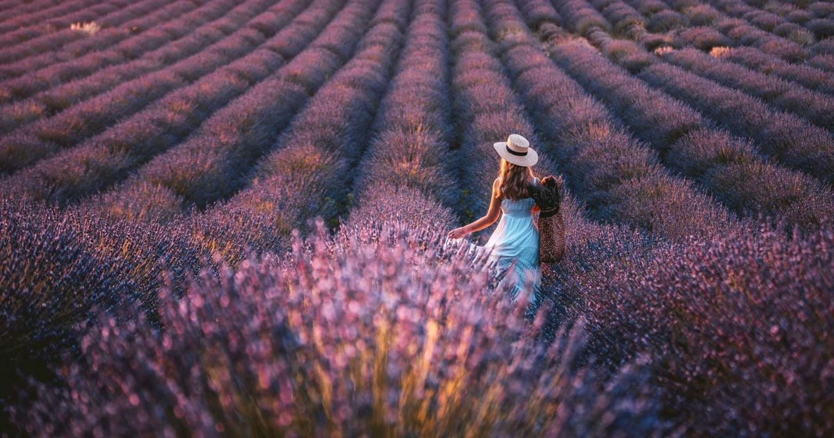 Visit the Hottest International Destinations This July The Getaway