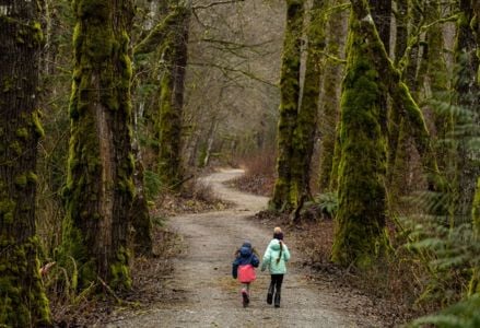 Hike These Awe-Inspiring Rainforest Hiking Trails