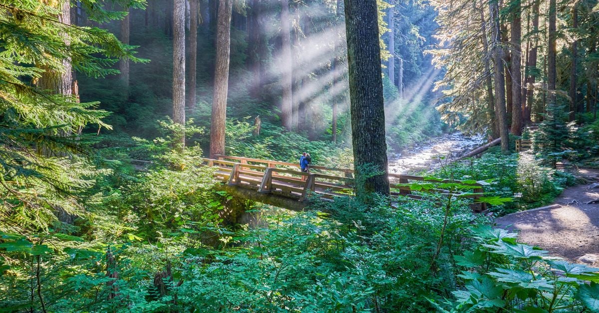 Unique Things About Olympic National Park
