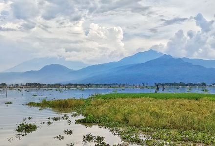 Navigating Semarang: 10 Must-Do Activities for First-Timers