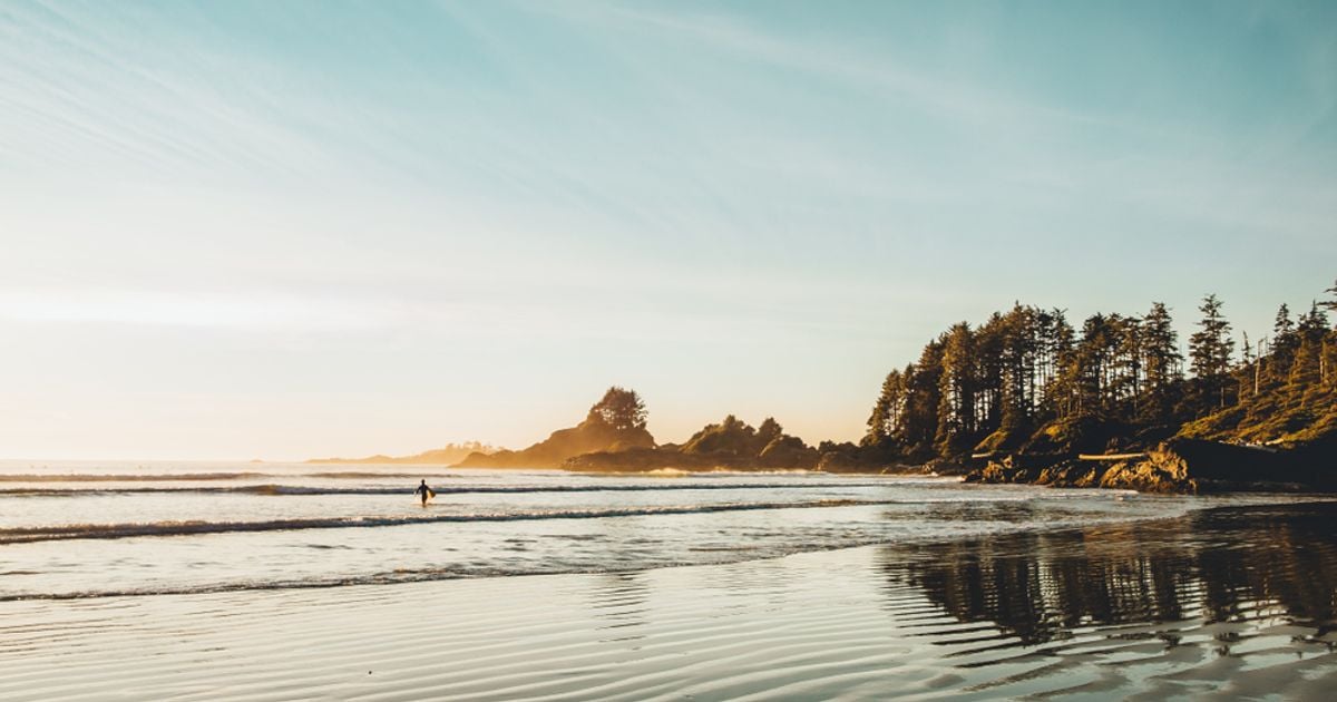 15 Things to Do in Tofino and Ucluelet The Getaway