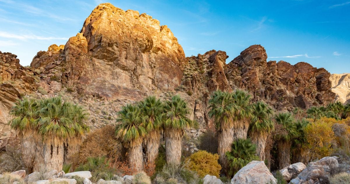 Best Hikes in and Around Palm Springs The Getaway