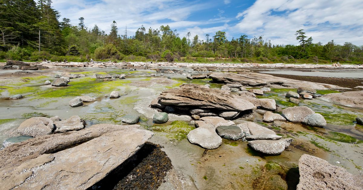Hornby Island: What's the Big Deal? - The Getaway