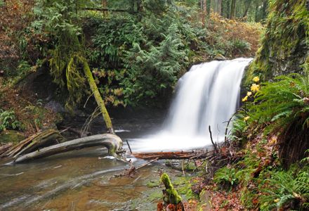 15 Thing to Do in Ladysmith and Chemainus