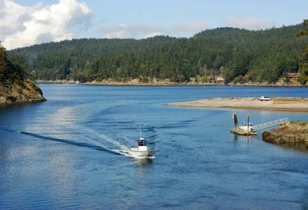 Disc Golf Is Just the Start on Pretty Pender Island