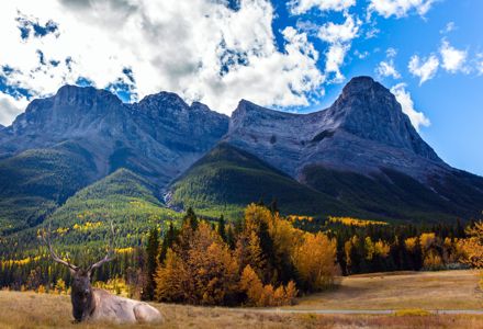 15 Fun and Relaxing Ways to Spend Your Time in Red Deer