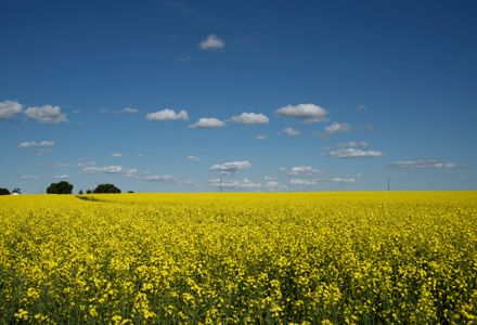 15 Things to Do in Grande Prairie