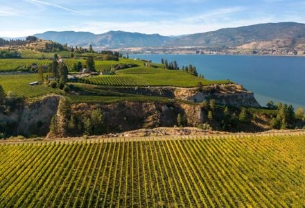 15 Things to Do in Penticton and the Naramata Bench