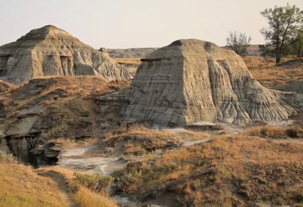Things to Do in Dinosaur Provincial Park