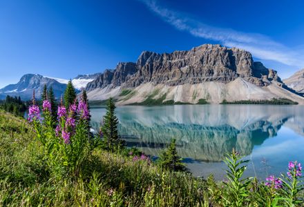What to See on the Icefields Parkway