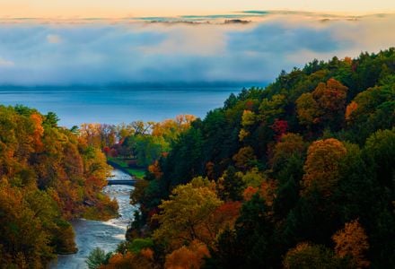 Ithaca Is Gorges - Yeah, You’ve Seen That T-Shirt