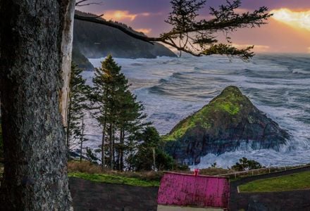 Discover the Unique Charms of Florence, Oregon
