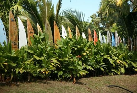 Your Bucket List of Maui’s Best Activities and Tours